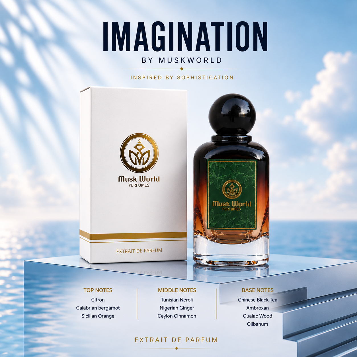 Imagination Perfume for Men