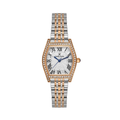 Daniel Klein Premium Silver and Rose Gold Stainless Steel Watch for Women DK.1.14106-6